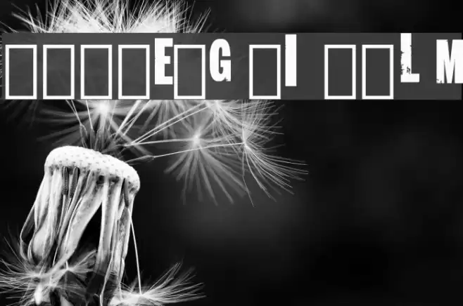 Longmire Logo Regular Font examples