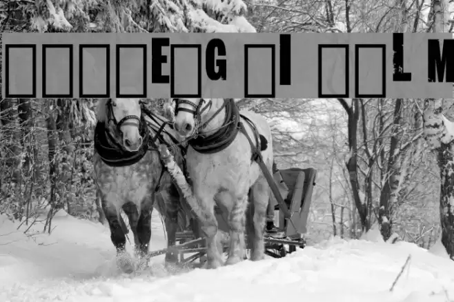 Longmire Logo Regular Font examples