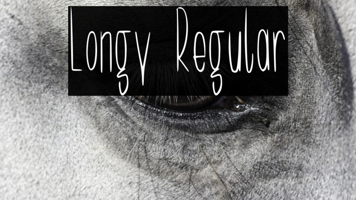 Longy Regular Example 2