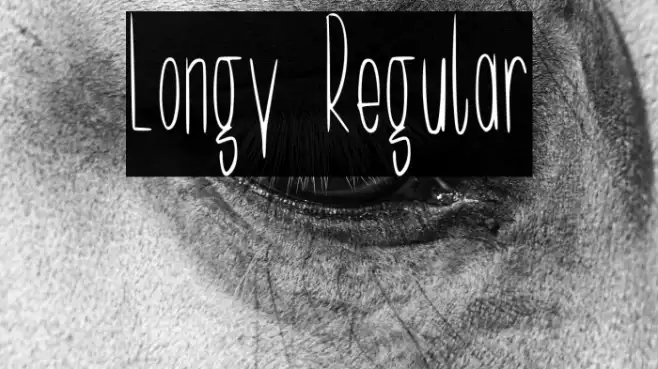 Longy Regular Example 2