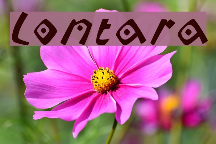 Lontara Font examples