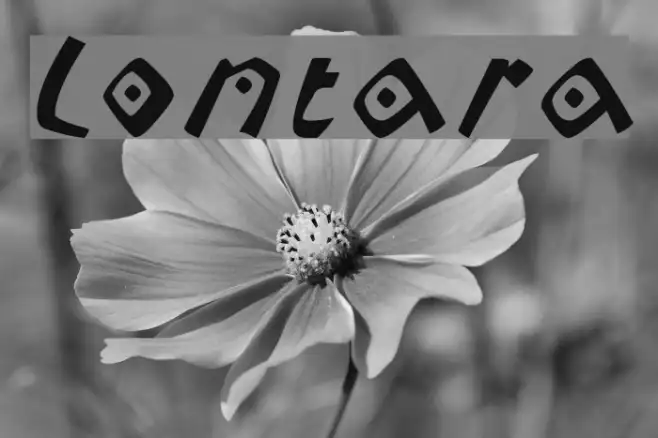 Lontara Example 3