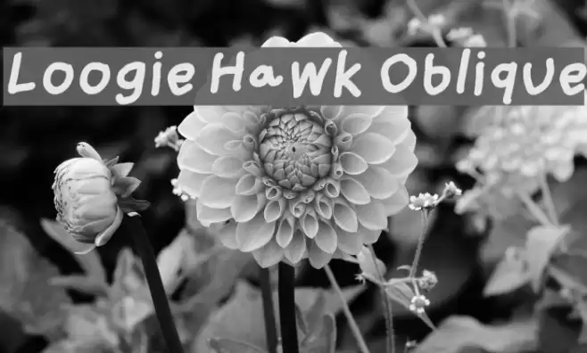Loogie Hawk Oblique Font examples