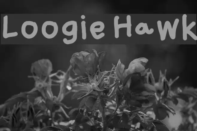 Loogie Hawk Font examples