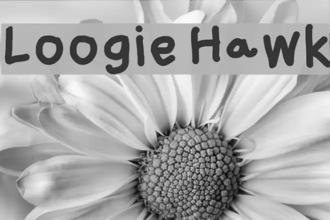 Loogie Hawk Font examples