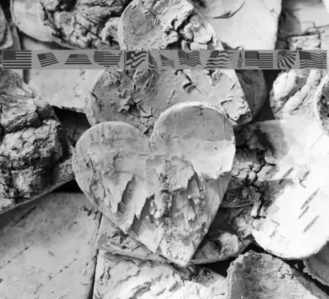 Look for America Font examples