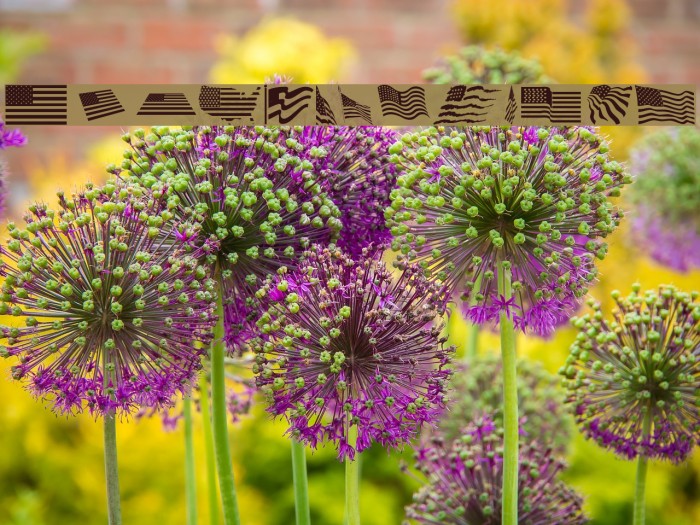 Look for America Example 2