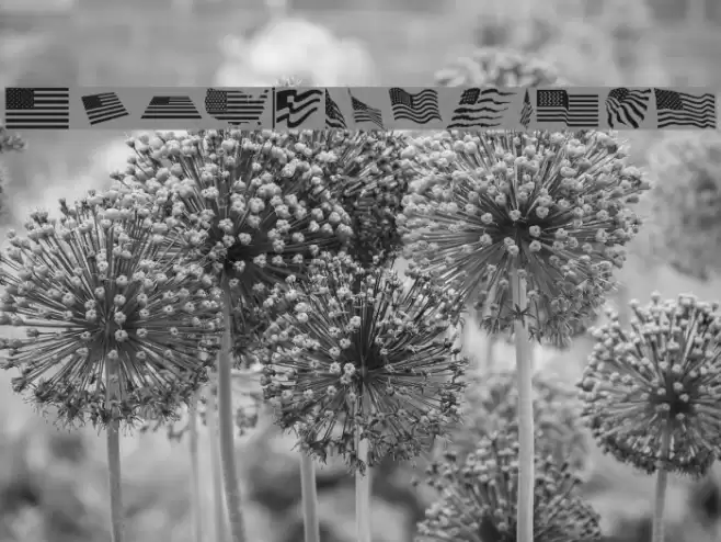 Look for America Font examples