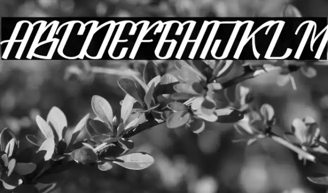 LookStandard Font examples