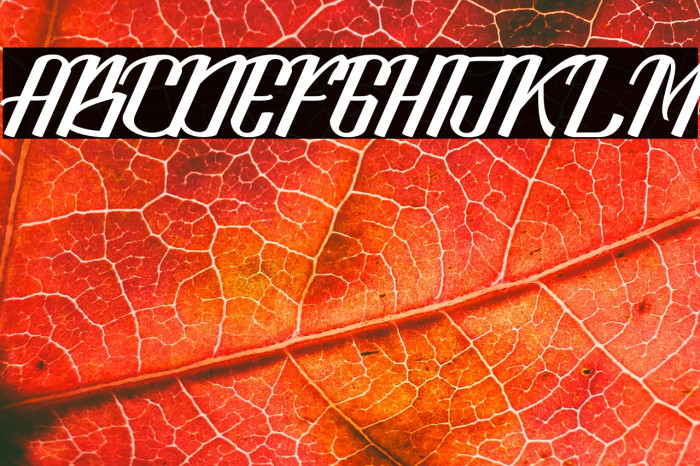 LookStandard Example 3