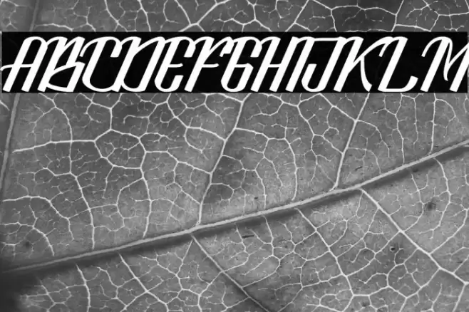 LookStandard Font examples