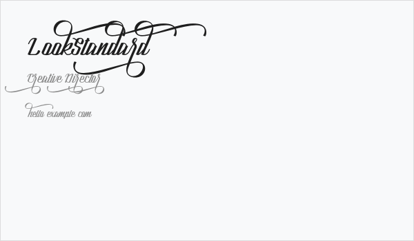 LookStandard Business Card