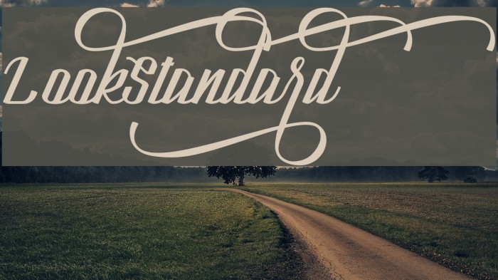 LookStandard Polices examples