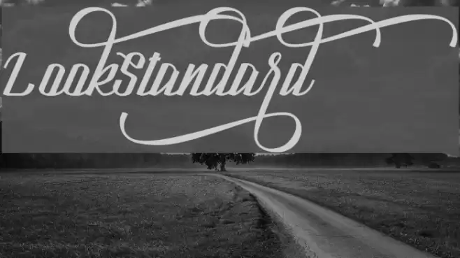 LookStandard Font examples