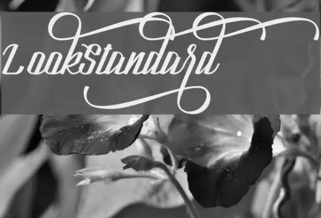 LookStandard Font examples