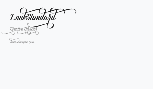 LookStandard Business Card