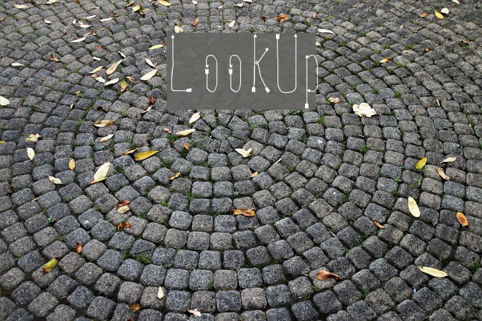 LookUp Font examples