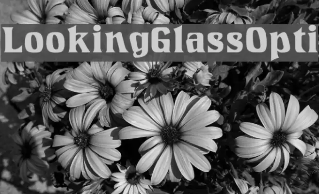 LookingGlassOpti Font examples
