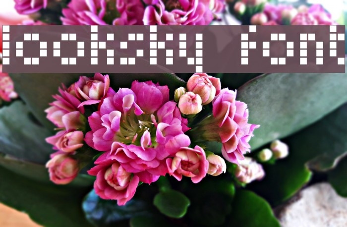 Looksky Font Font examples