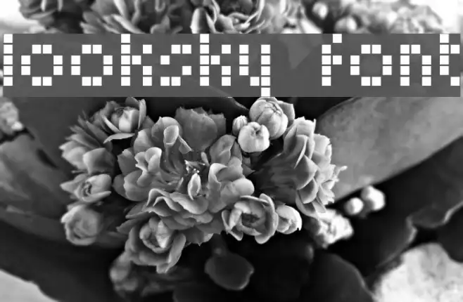 Looksky Font Example 1