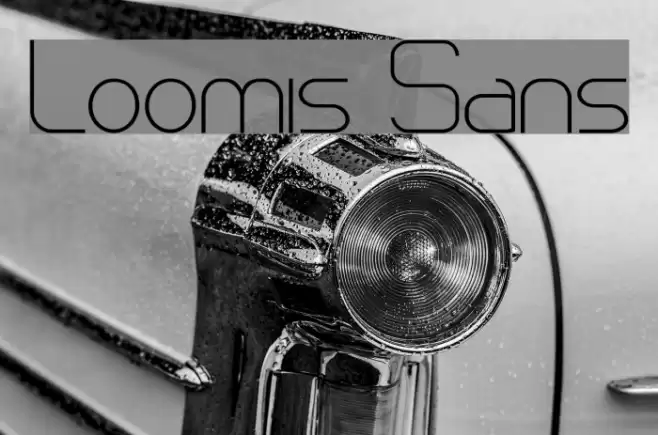 Loomis Sans Font examples