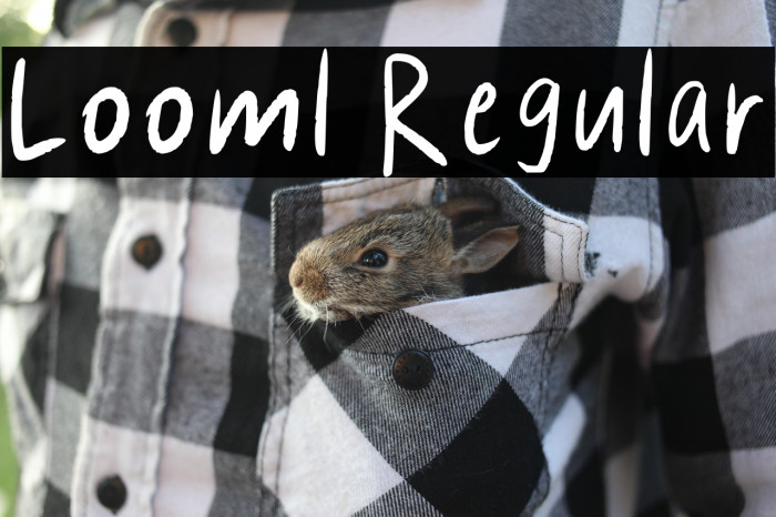 Looml Regular Example 1