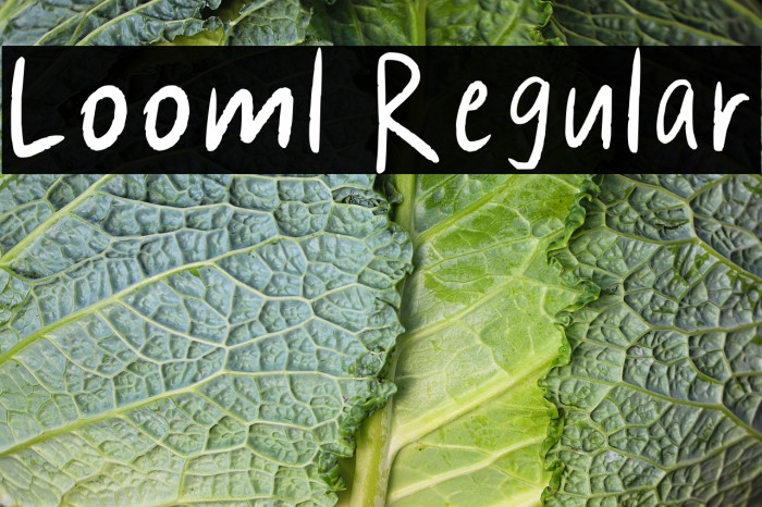 Looml Regular Example 3