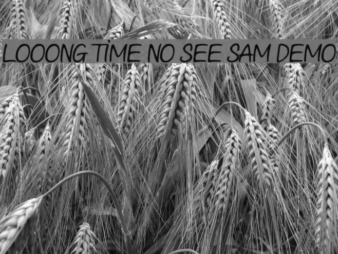 Looong time no see Sam Demo Font examples