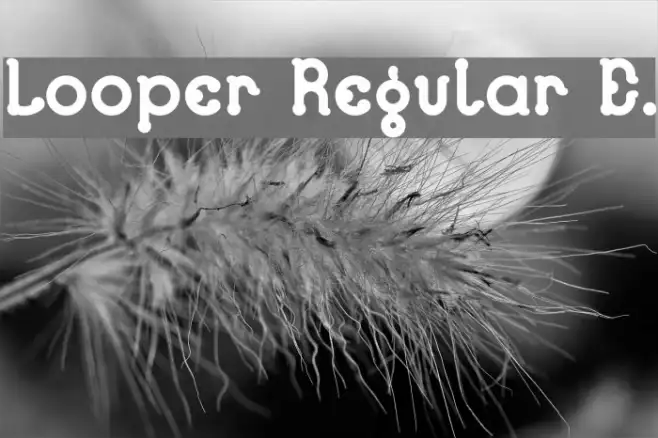 Looper Regular E. Example 1