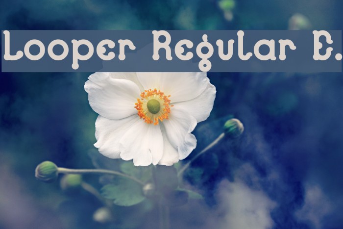 Looper Regular E. Font examples