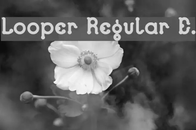 Looper Regular E. Example 3