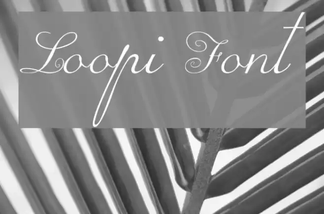 Loopi Schriftart examples