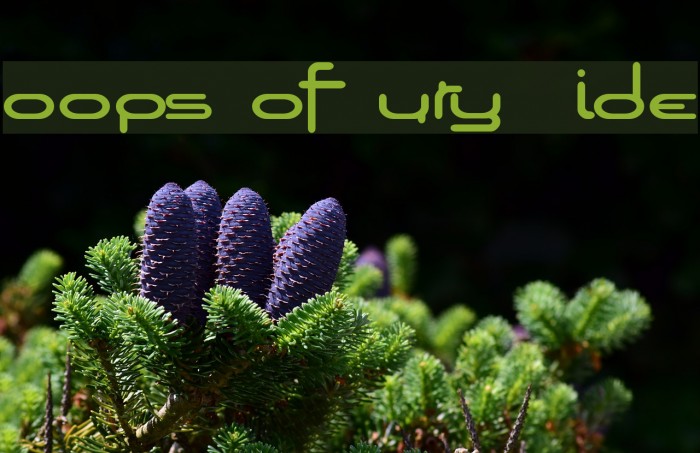 Loops of Fury Wide Font examples