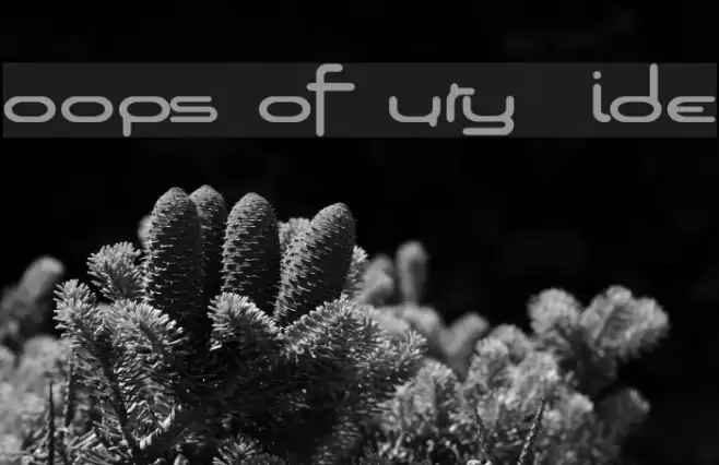 Loops of Fury Wide Schriftart examples