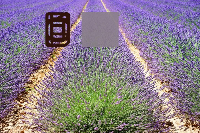 Loopy [BRK] Example 3