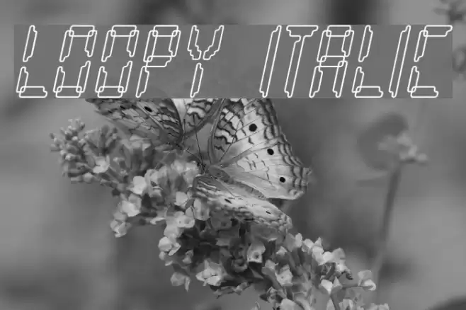 Loopy Italic Font examples