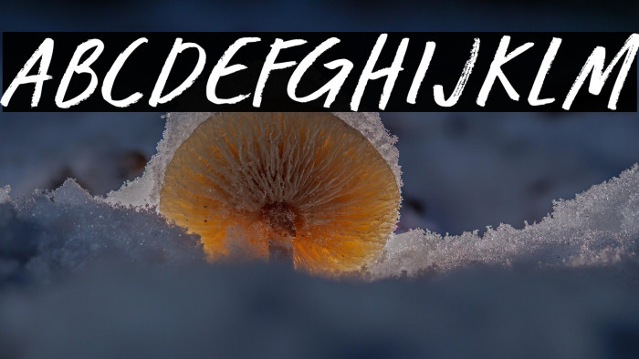 Loose Change Example 2