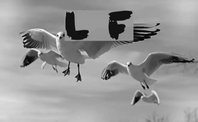 Loose Example 2