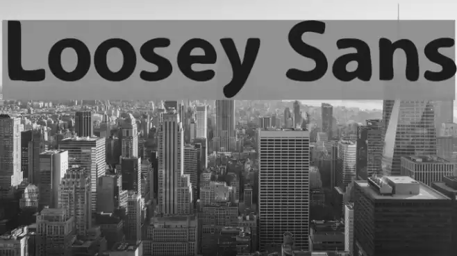 Loosey Sans Font examples