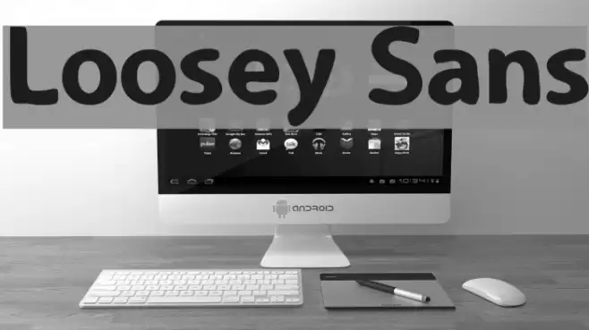 Loosey Sans Font examples
