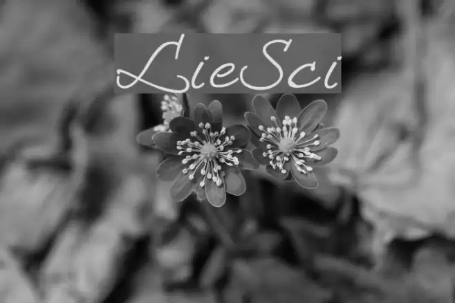 LoosieScript Font examples