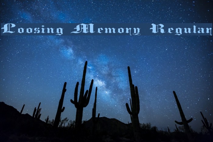 Loosing Memory Regular Font examples