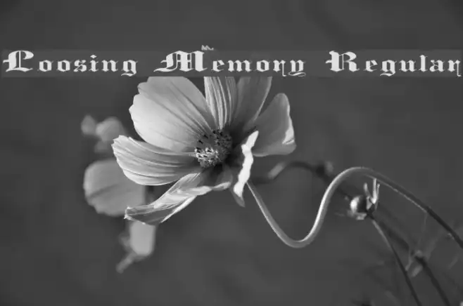 Loosing Memory Regular Example 3