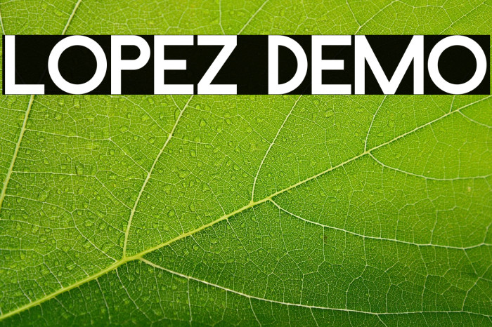 Lopez Demo Example 1