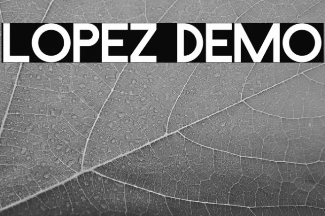 Lopez Demo Font examples
