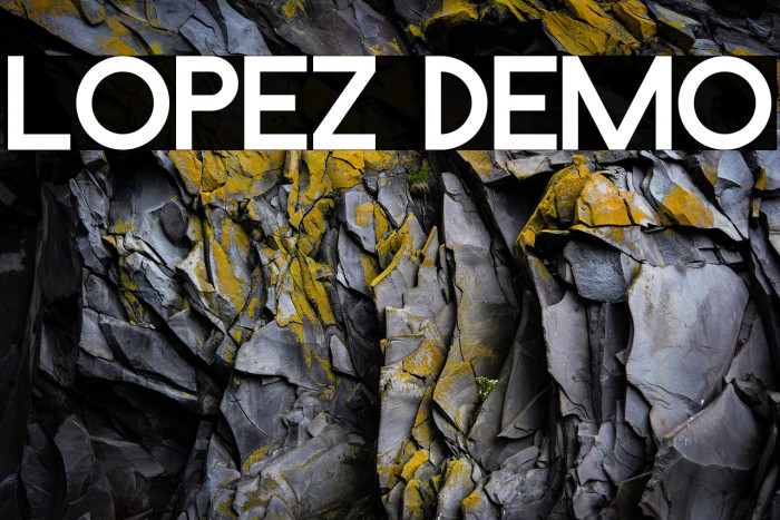 Lopez Demo Example 2