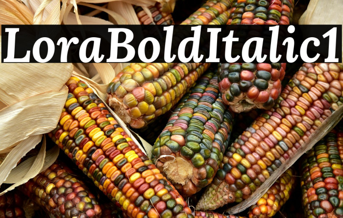 Lora Bold Italic1 Example 2