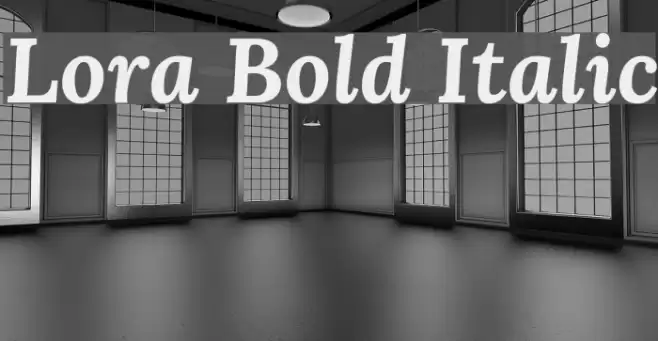Lora Bold Italic Font examples
