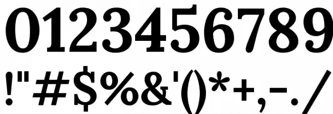 Lora Bold Font OTHER CHARS