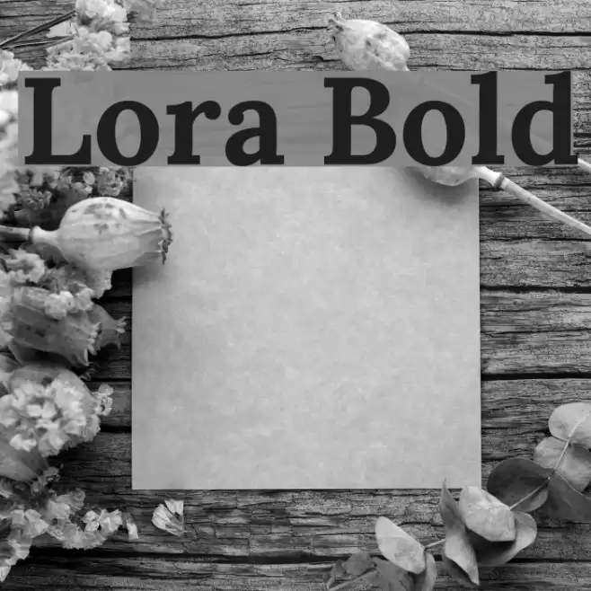Lora Bold Font examples